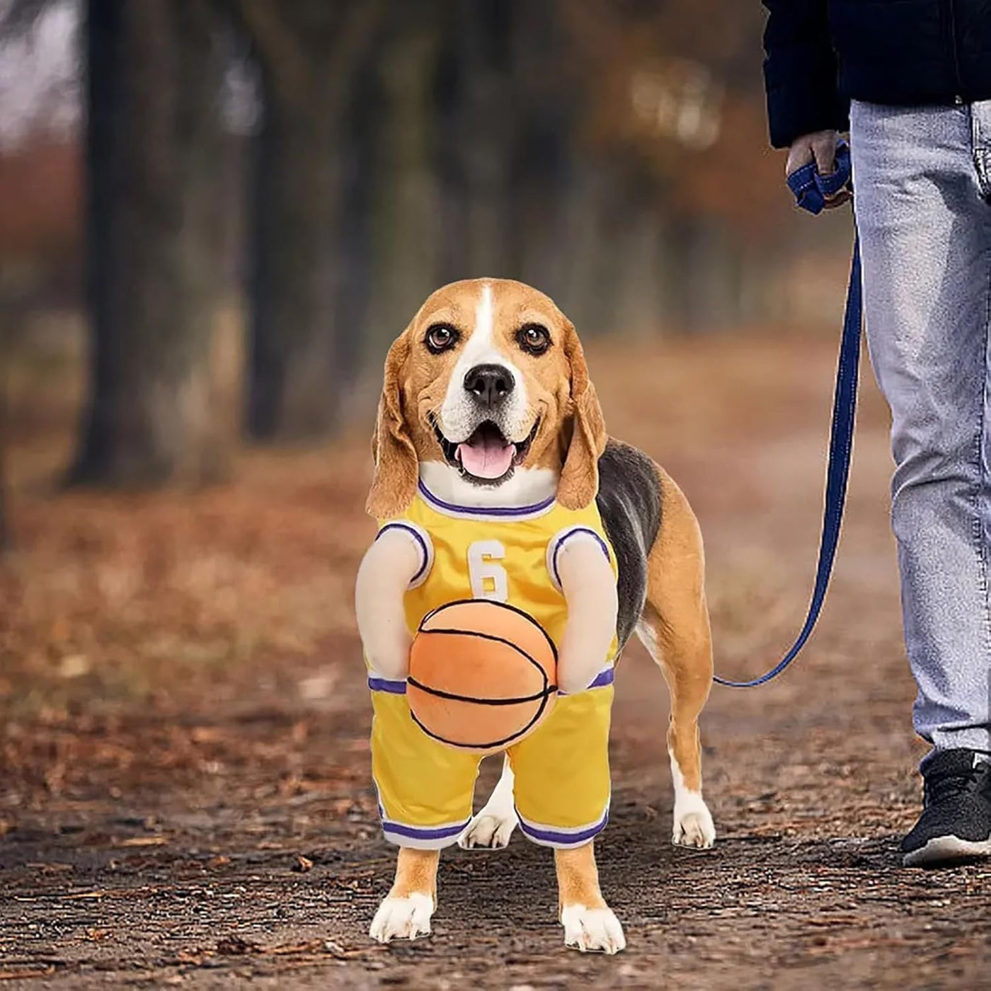 Halloween Dog Costume – Basketball Player Outfit for Small Dogs - 0