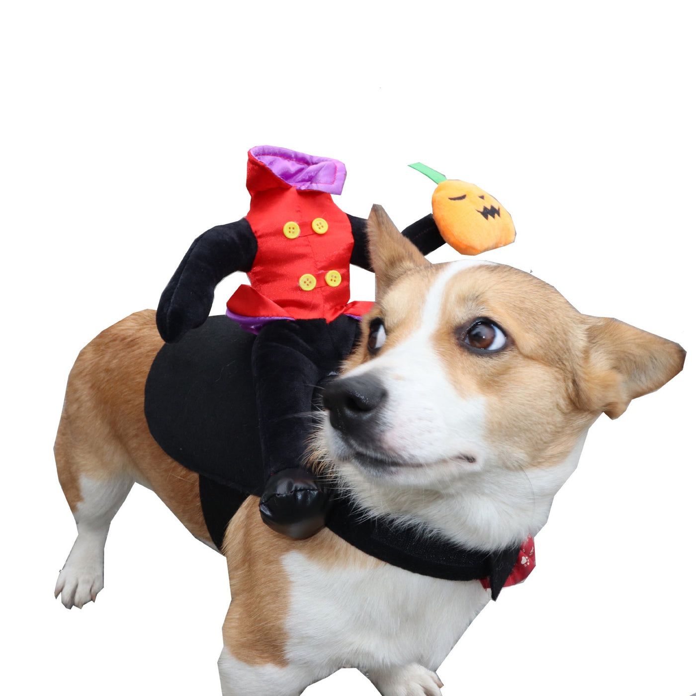 Halloween Dog Costume – Funny Headless Man Outfit for Pets - 0