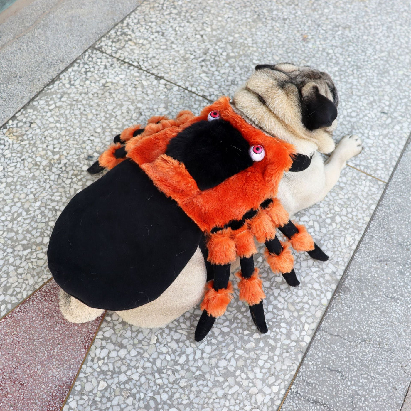 Halloween Spider Pet Costume – Funny Dog & Cat Outfit with Red Eyes | Scary Pet Clothing - 0