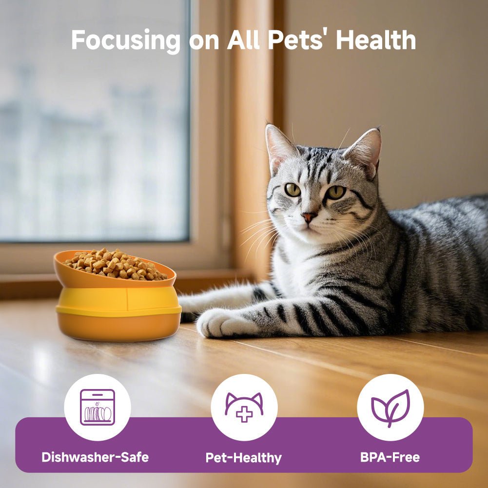 Hamburger Style Pet Bowl – Multi - Layer 5 - in - 1 Feeding Set for Cats & Dogs - 0