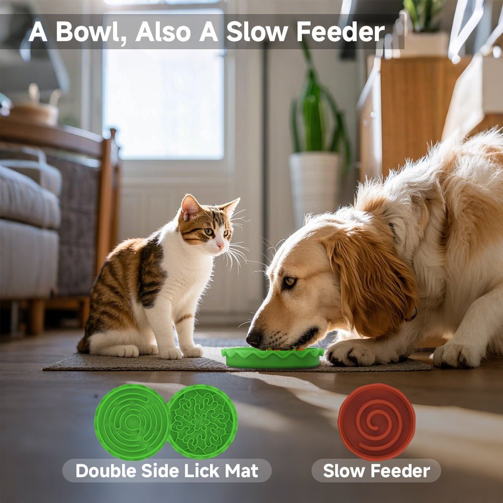 Hamburger Style Pet Bowl – Multi - Layer 5 - in - 1 Feeding Set for Cats & Dogs - 0