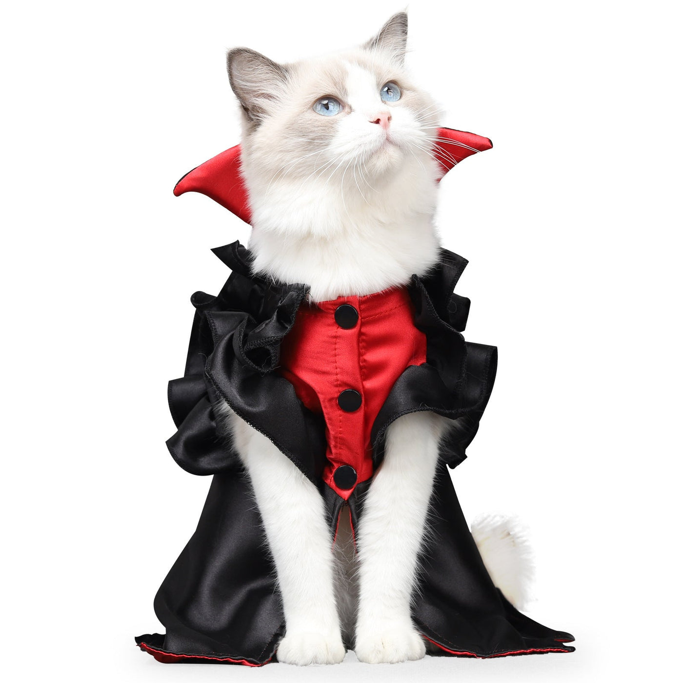 Spooky Cat Halloween Vampire Costume – Soft Polyester, Two - Leg Outfit (M & L) - 0
