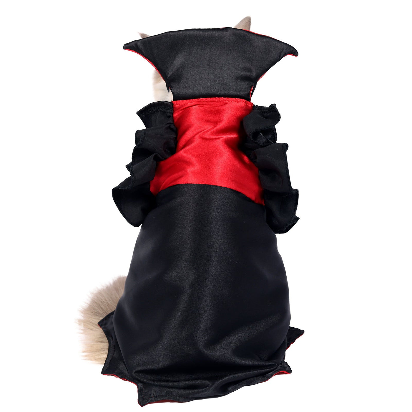 Spooky Cat Halloween Vampire Costume – Soft Polyester, Two - Leg Outfit (M & L) - 0
